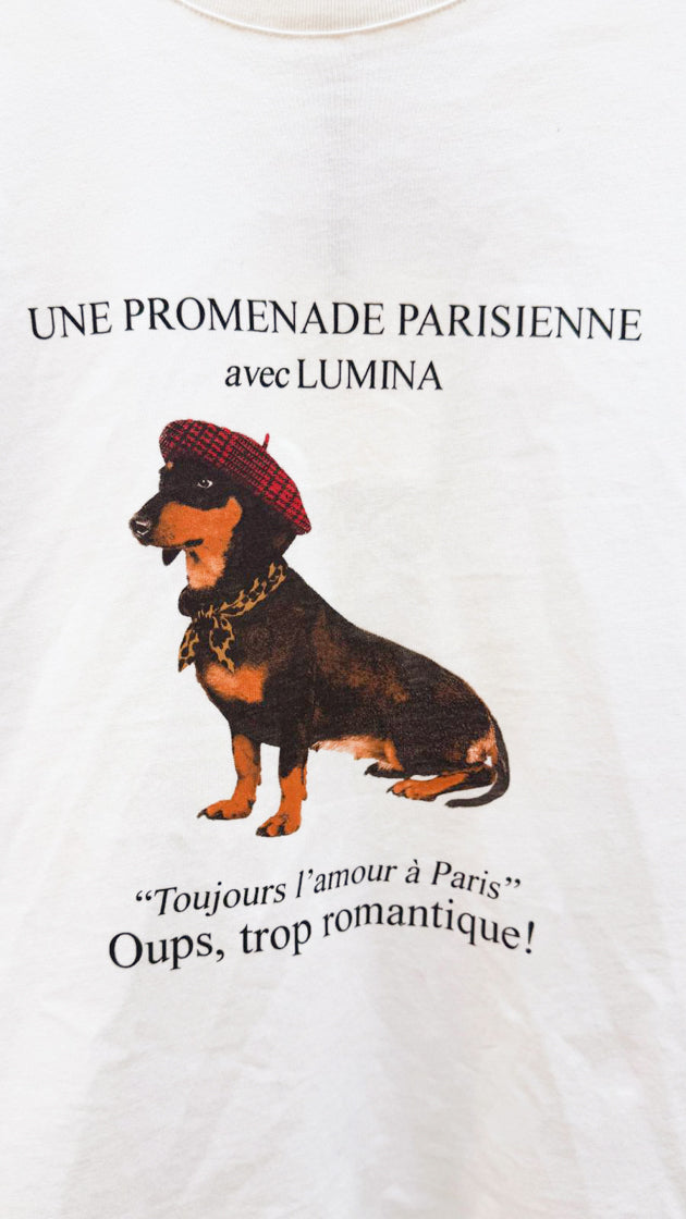 Produktfoto T-Shirt weiß mit Dackelmotiv vom Hamburger Modelabel stegmann mode